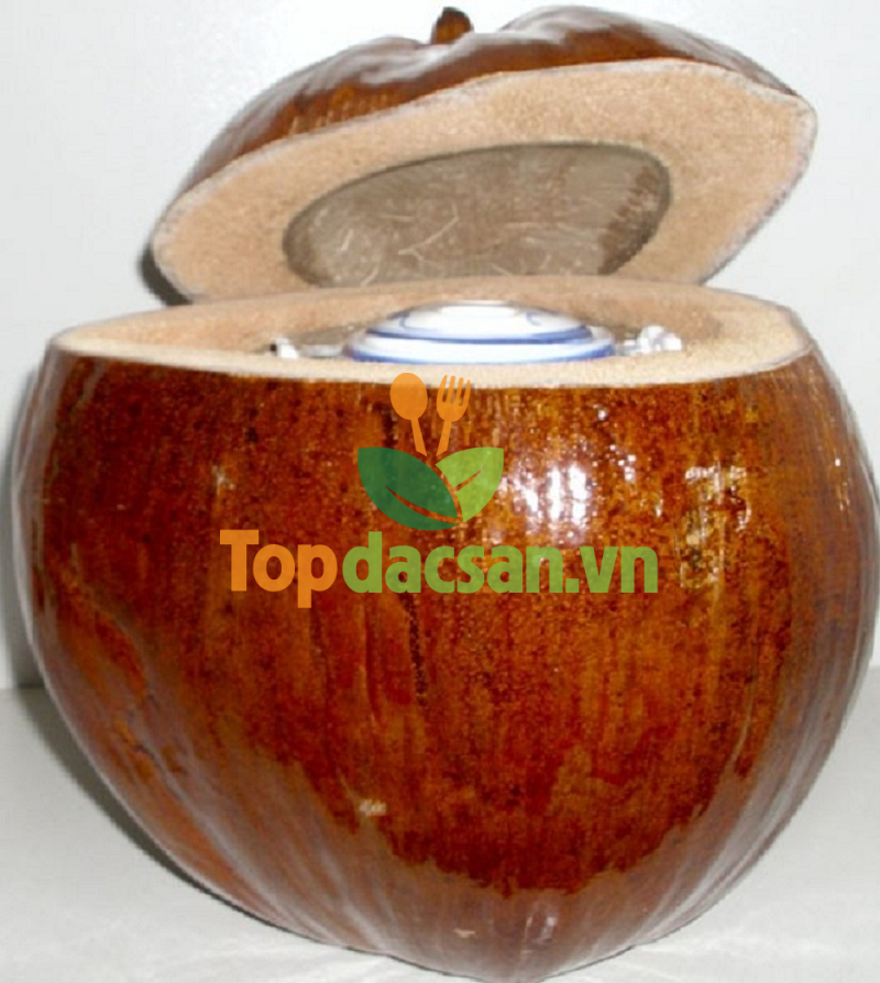 vỏ bình giữ ấm trái dừa